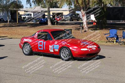 media/Nov-16-2024-CalClub SCCA (Sat) [[641f3b2761]]/Group 4/Grid and Front Straight/